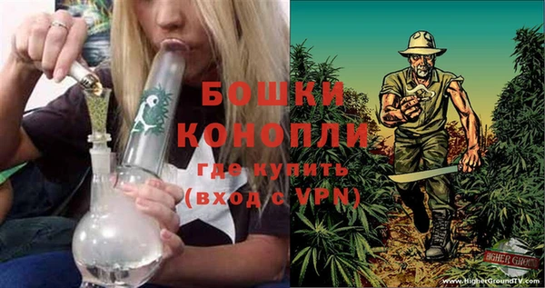 спайс Медвежьегорск