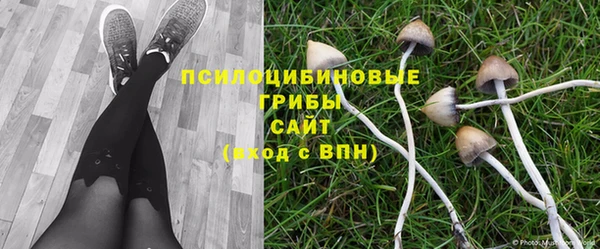хмурый Михайловка