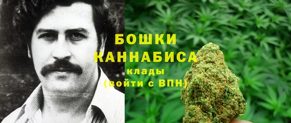 спайс Медвежьегорск