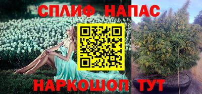 винт Будённовск