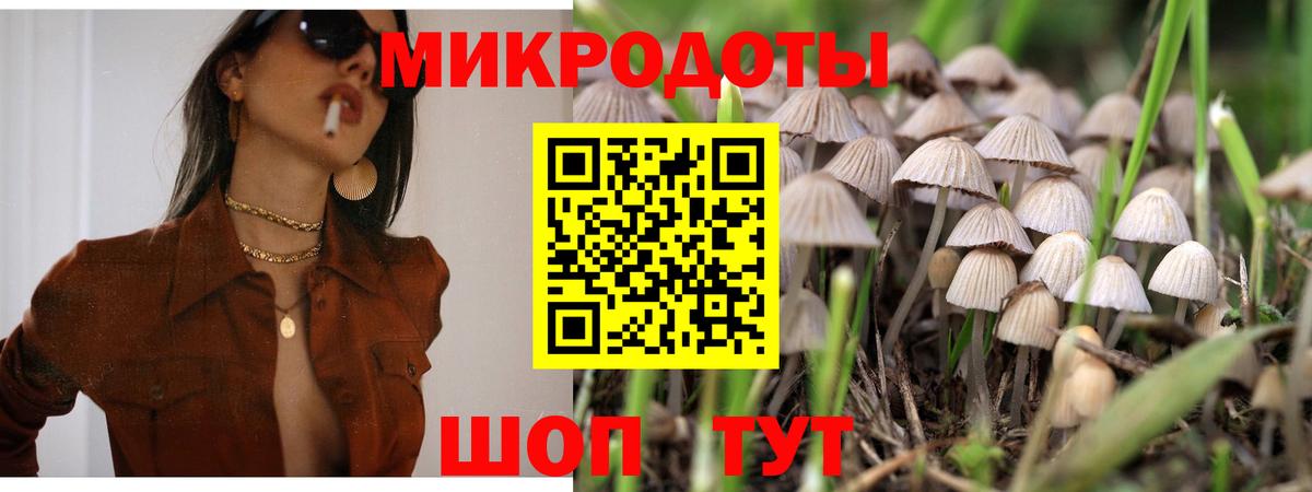 Галлюциногенные грибы Psilocybine cubensis  Вход с VPN  Нарткала  где купить наркоту  Псилоцибиновые грибы мицелий 